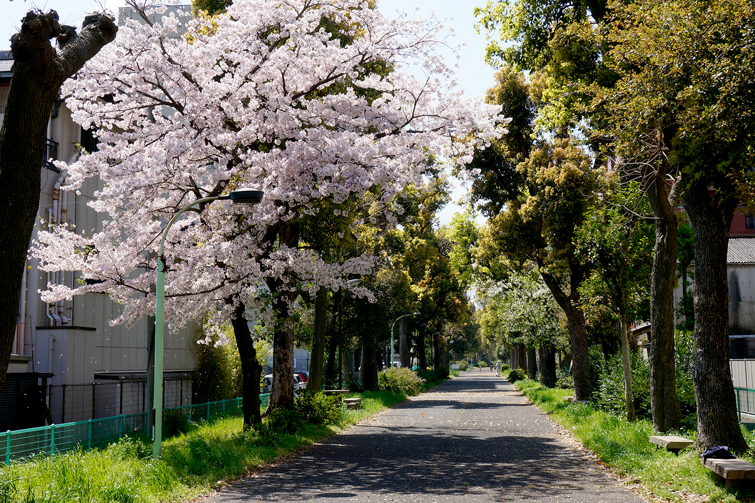 杣場川緑道公園