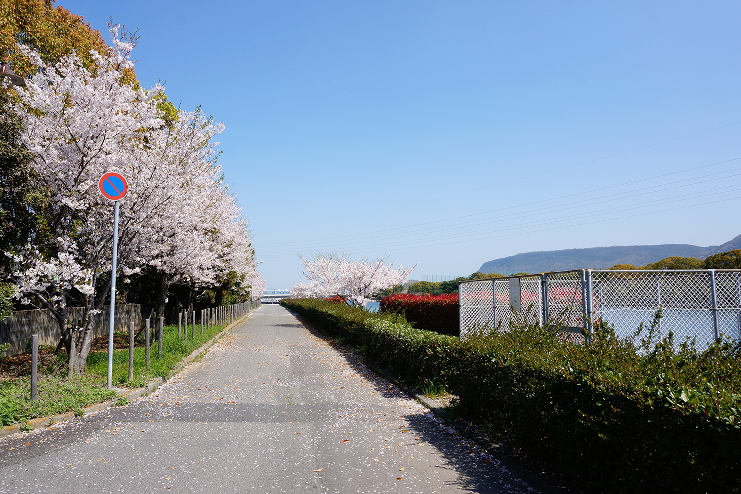 沖松島の塩釜さん跡